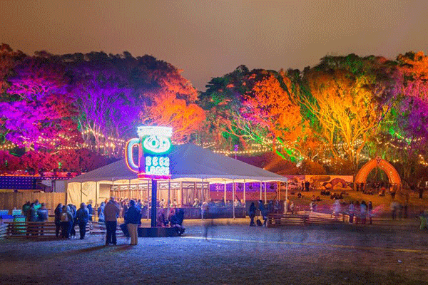 Drink Here Now: Outside Lands Edition