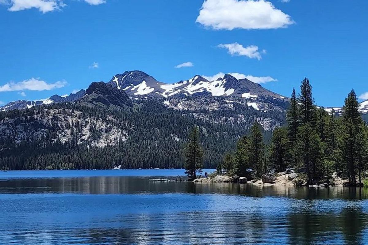 Eldorado National Forest - 7x7 Bay Area