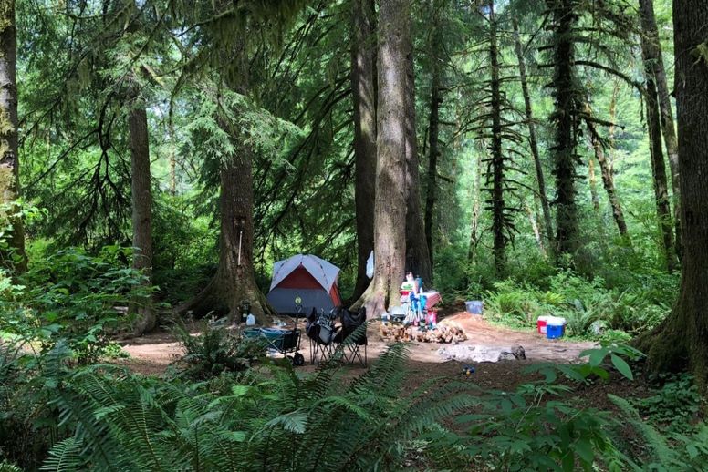 best dispersed camping oregon coast