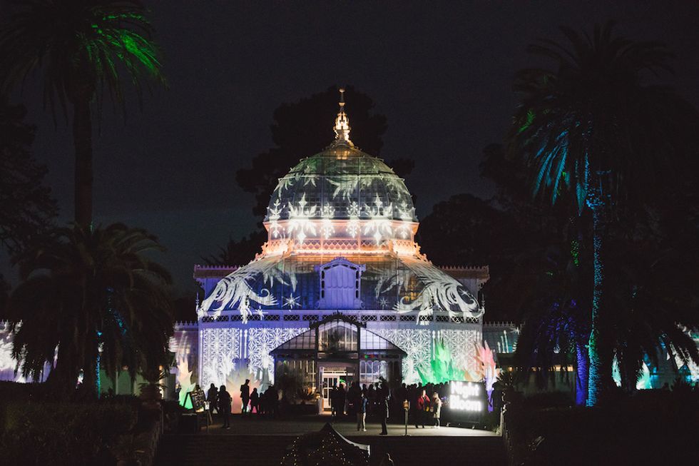 Night Bloom lights up at Conservatory of Flowers 7x7 Bay Area