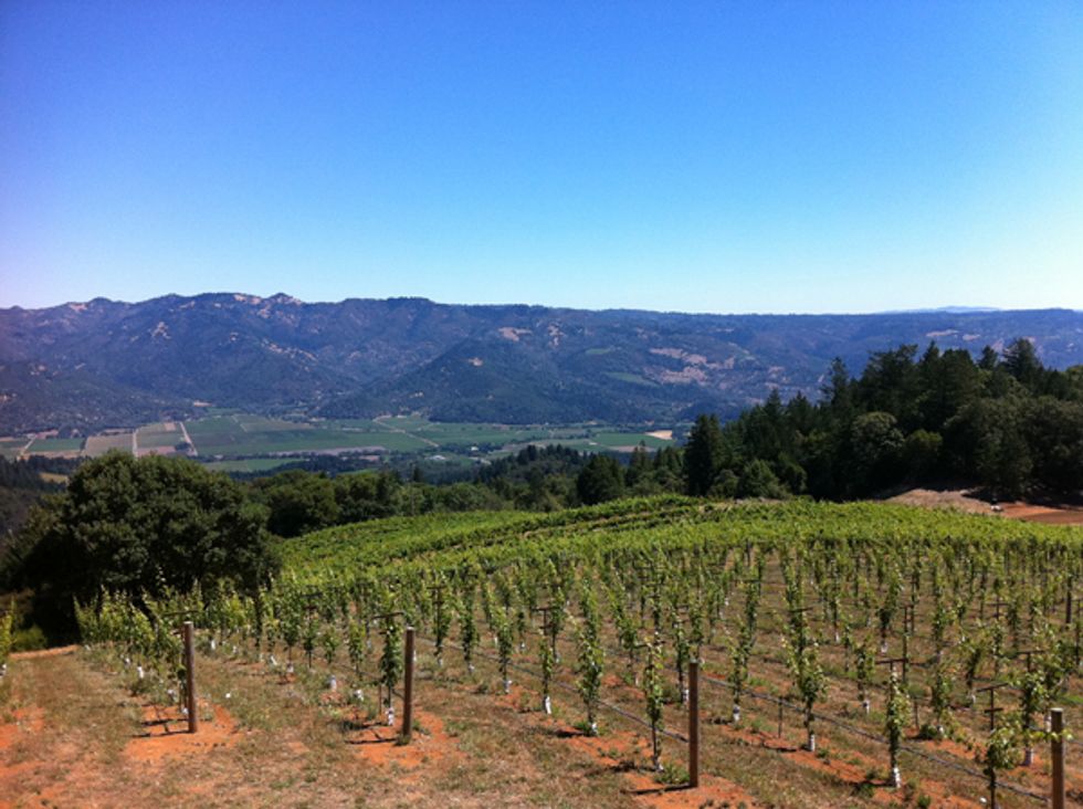 Napa Wineries With the Best Views - 7x7 Bay Area