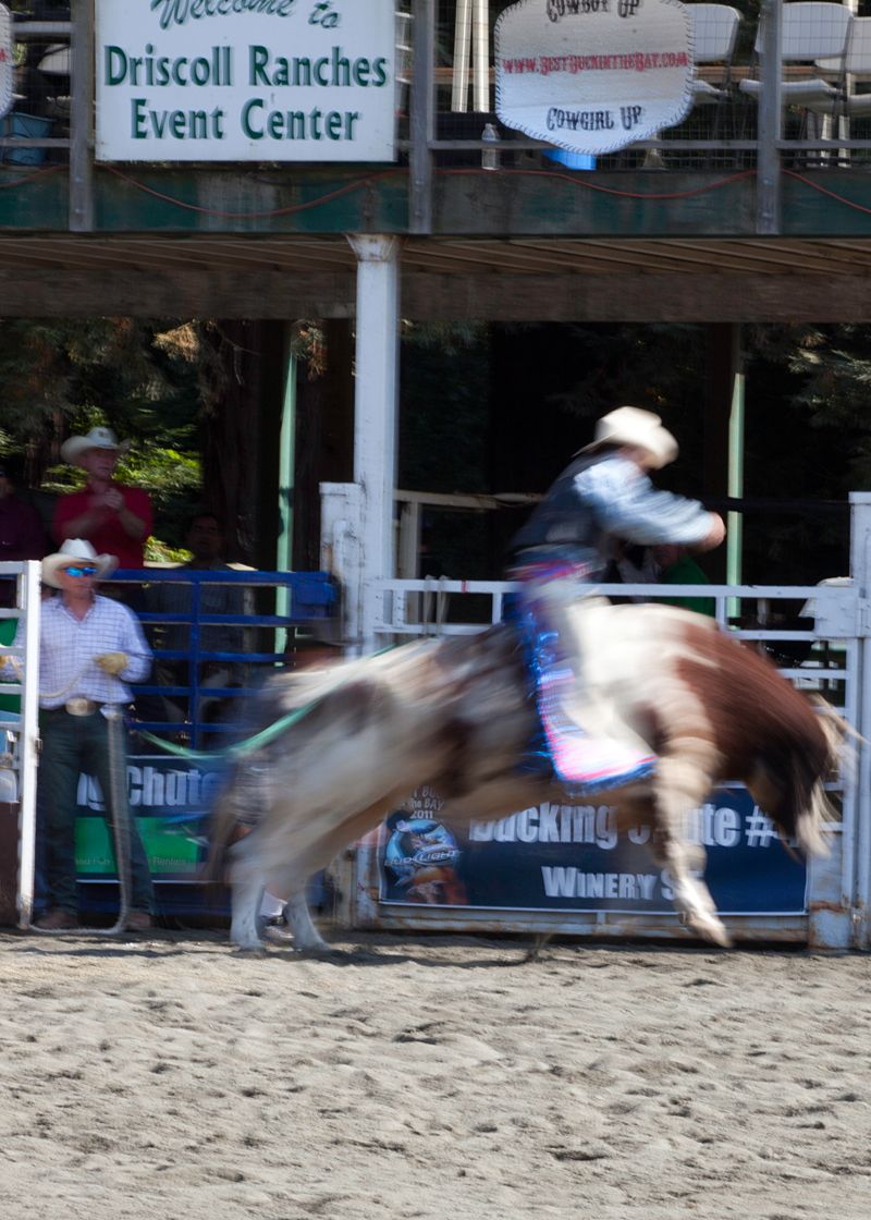 Scenes of the City: SF Gay Rodeo-Best Buck in the Bay - 7x7 Bay Area