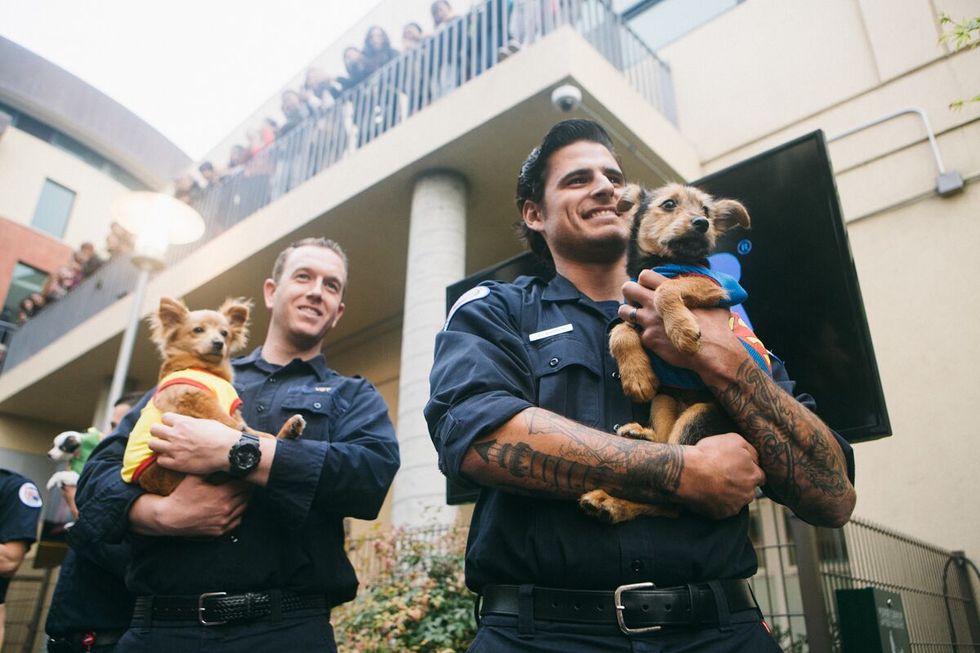 The Best Red Carpet Moments From the SF SPCA Fashion Show