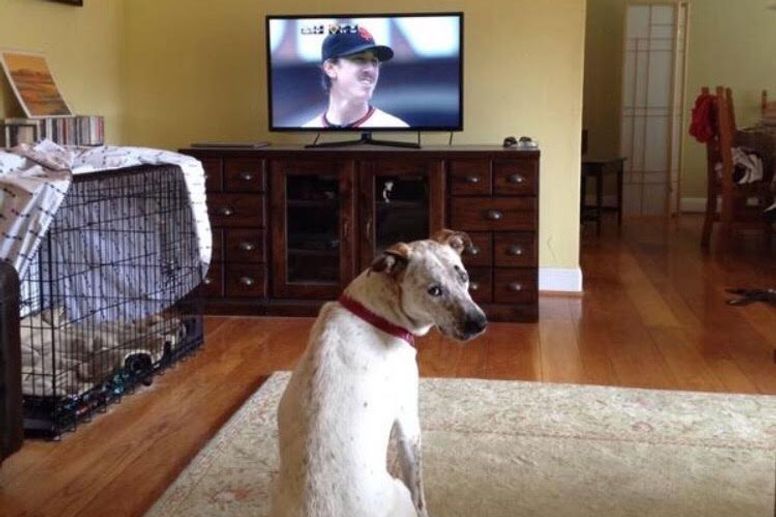 Tim Lincecum surrenders 1 run over 6 innings after nearly a year away -  ABC7 New York