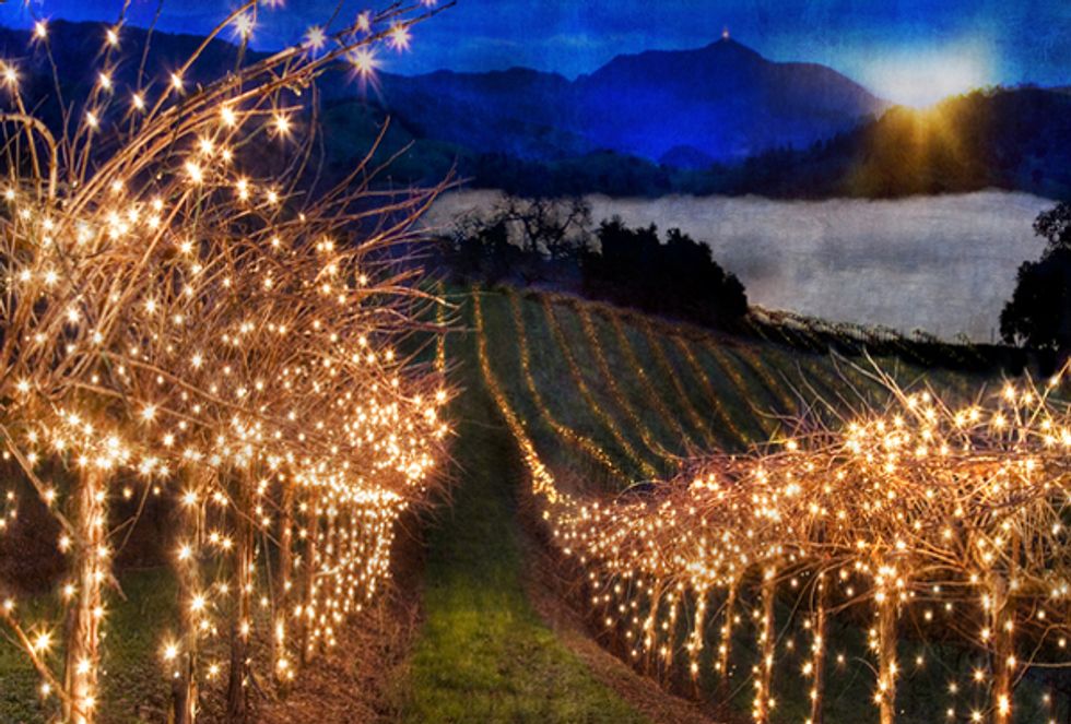 Napa Valley Late Night Where to Go After the Party (Or Dinner) 7x7