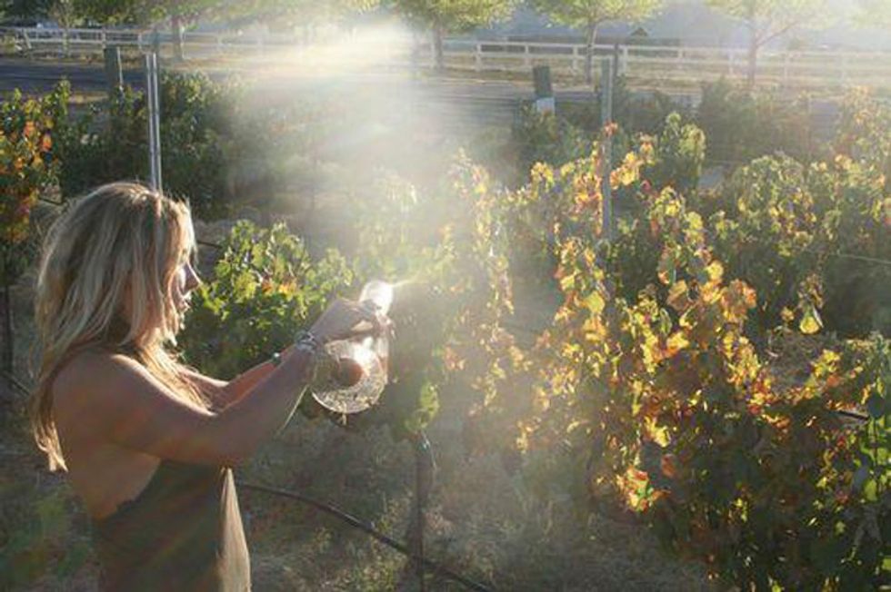 Seven Winemakers to Watch in 2012
