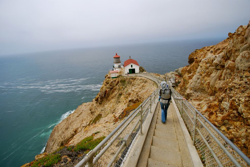 Road Trip Guide: Explore Point Reyes