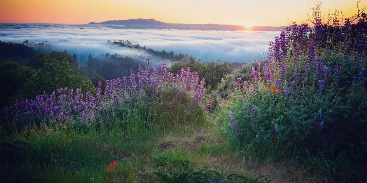 Warm weekends in Sun Valley mean mountaintop yoga + wildflower hikes - 7x7  Bay Area