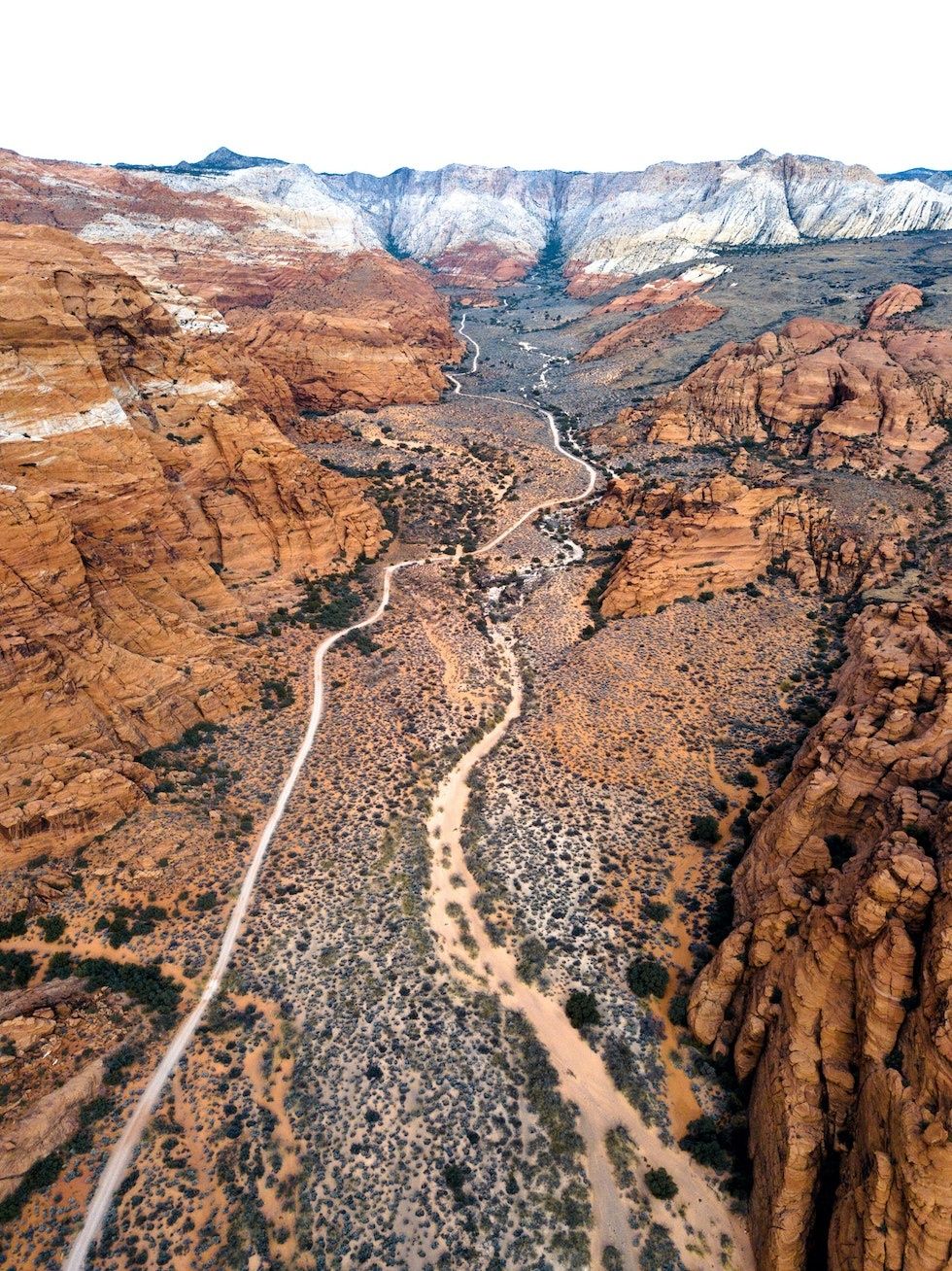 are dogs allowed in snow canyon state park